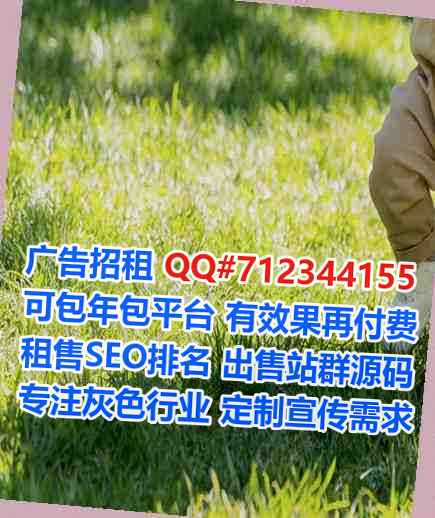 剑阁借腹生子市政有限公司